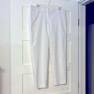 Ann Taylor Ankle Pants Lined